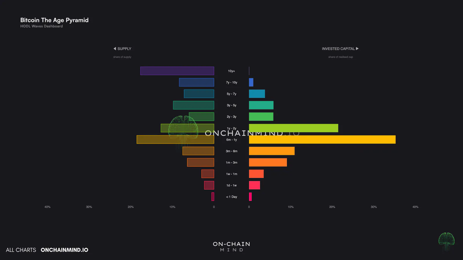 Age Pyramid