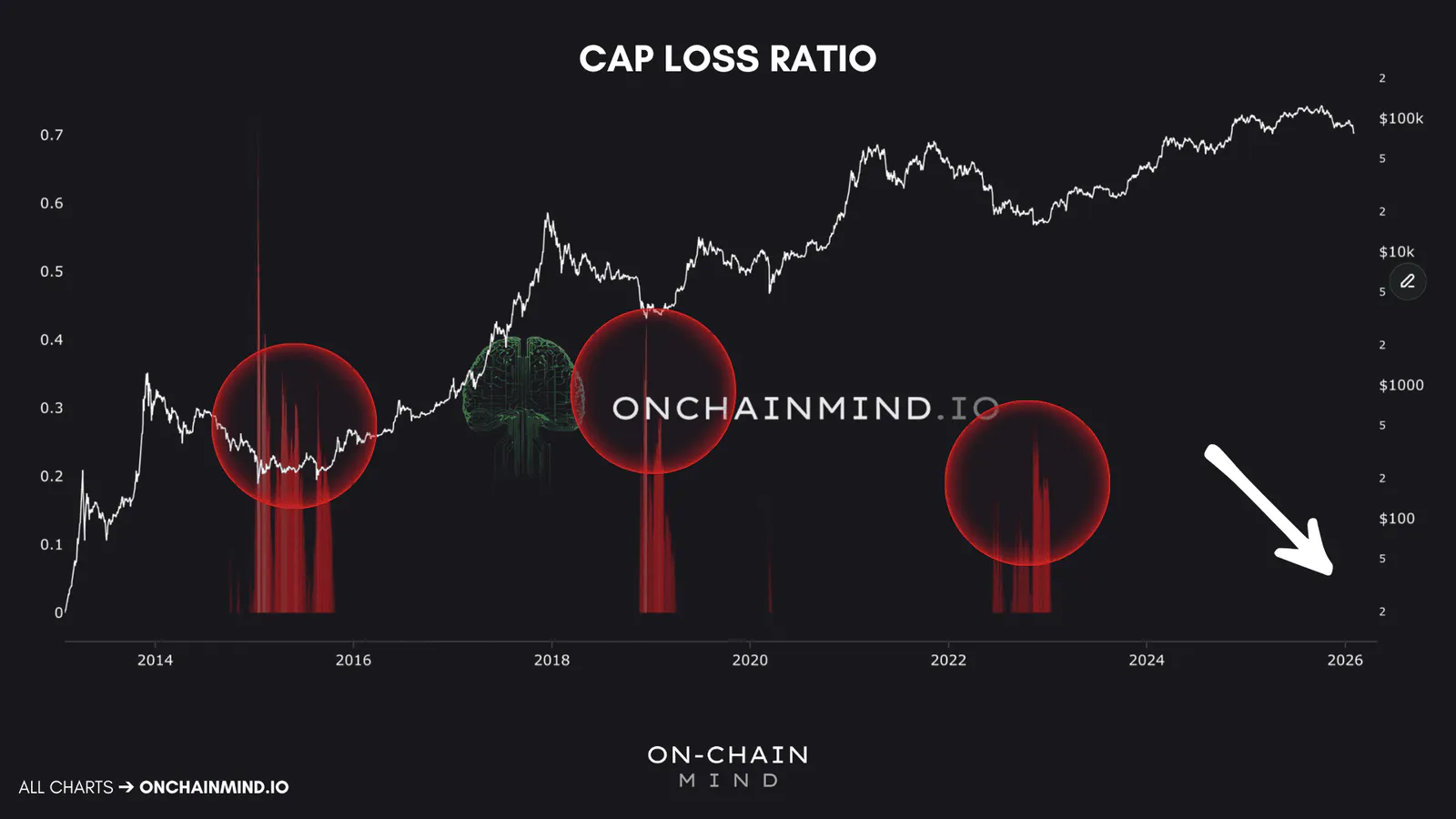 Bitcoin Cap Loss Ratio