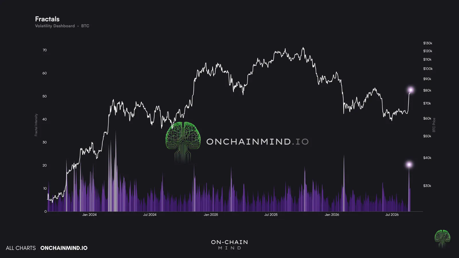Volatility Fractals
