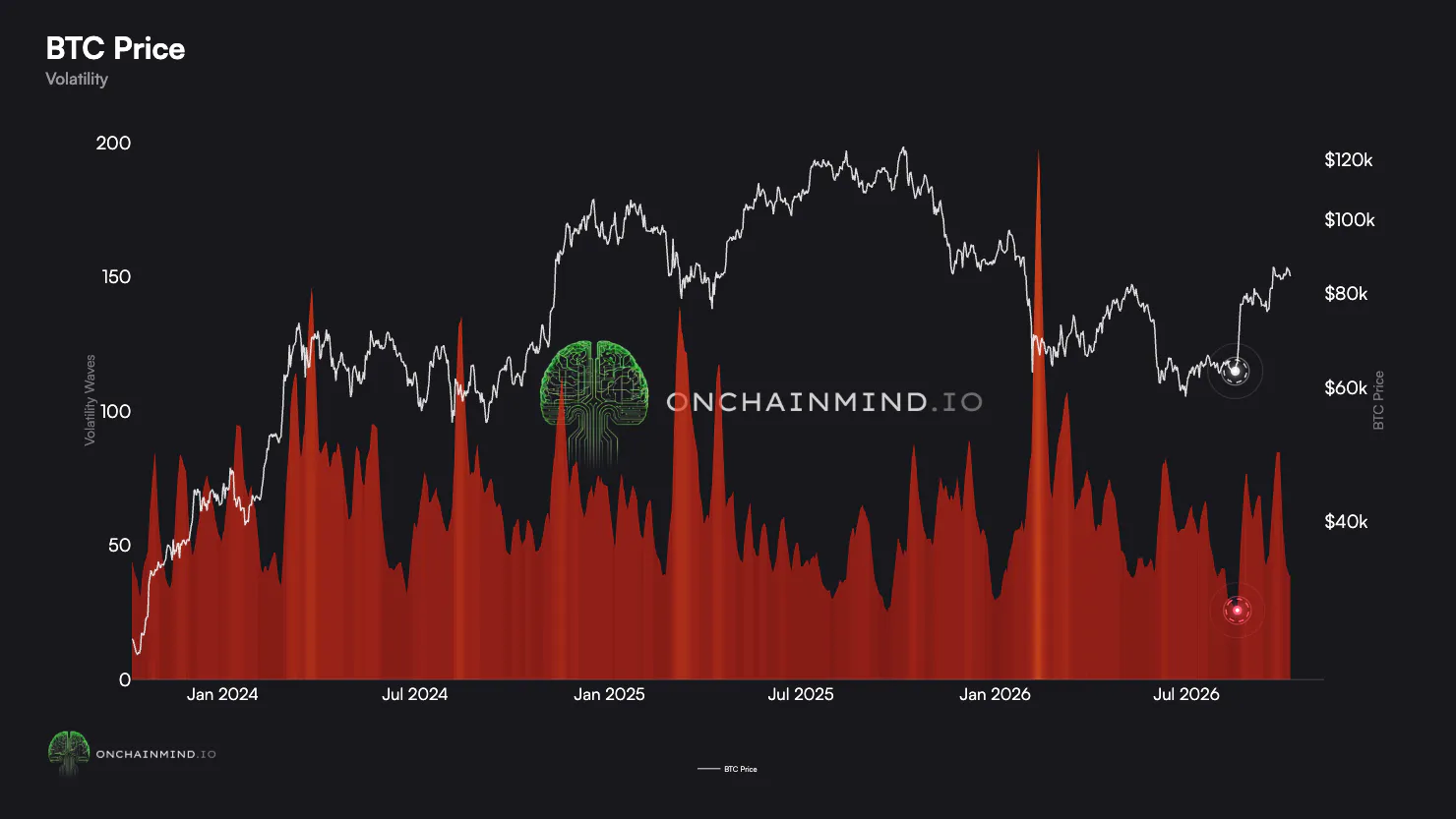 Bitcoin Is Now Less Volatile Than Nvidia and Tesla
